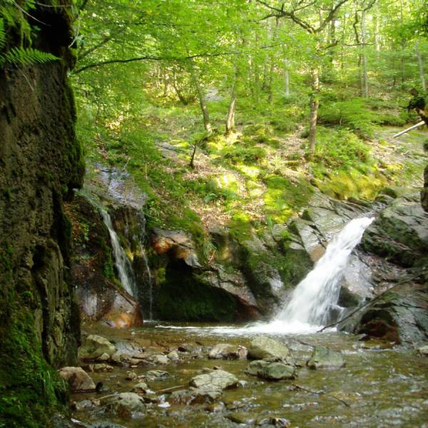 Cascade du Ninglinspo